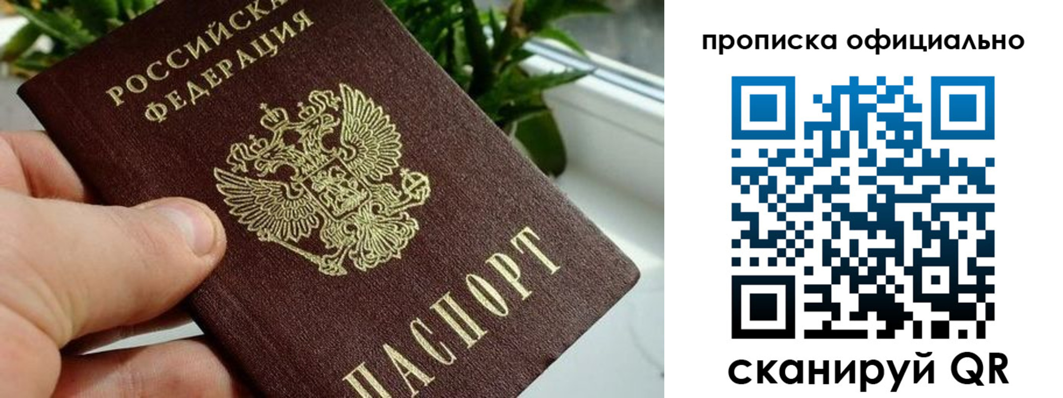 прописка поиск в Нерехте